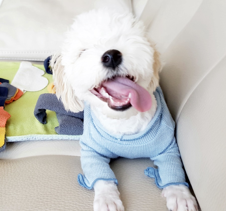 끼리끼리 이미지