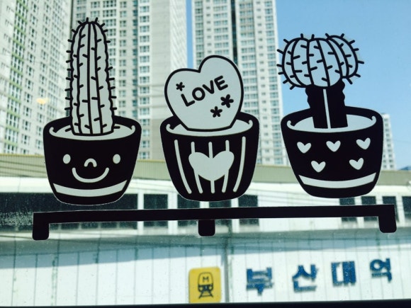 카페쿠잉 이미지