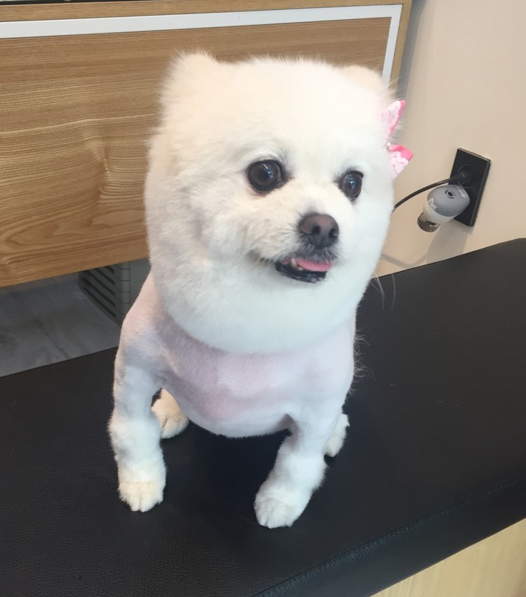성심미용실 이미지