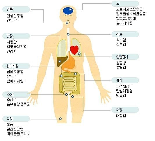 알코올이 신체에 미치는 영향 : 네이버 블로그
