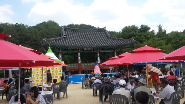 마이스터컨설팅주 이미지