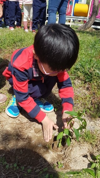 은파어린이집 이미지