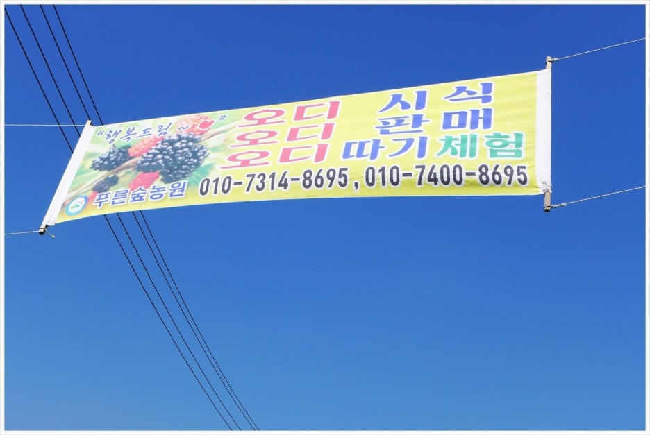 푸른숲농원 이미지