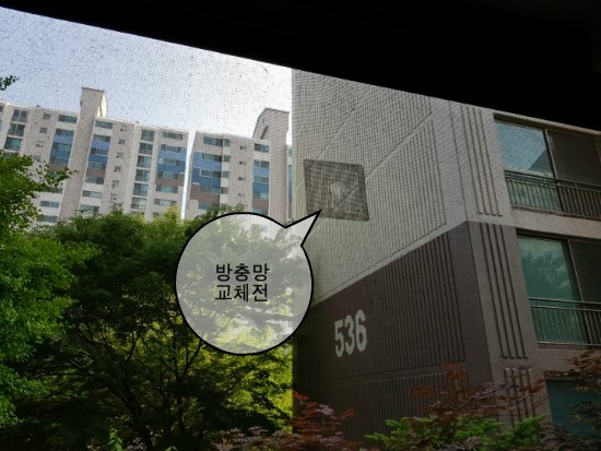 은빛마트 이미지