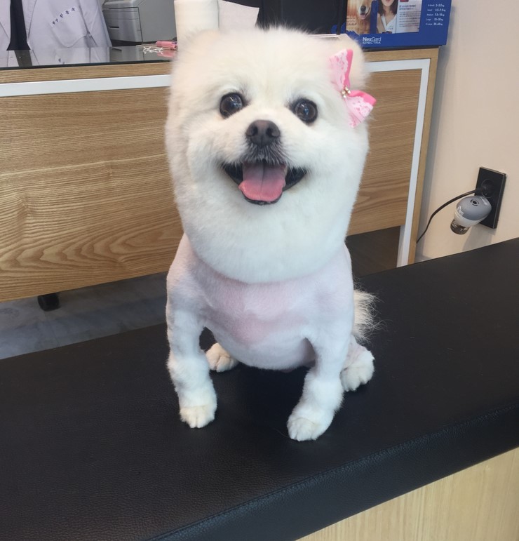 성심미용실 이미지