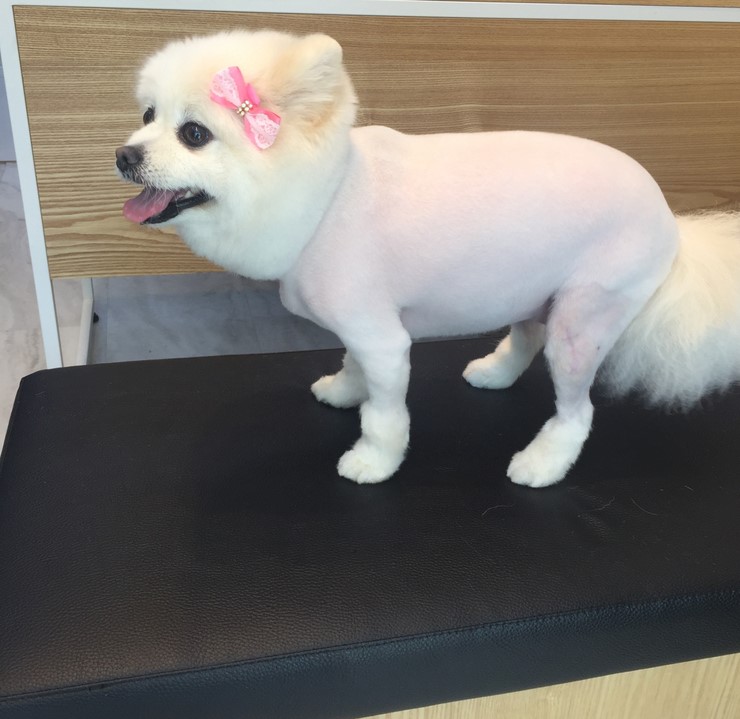 성심미용실 이미지