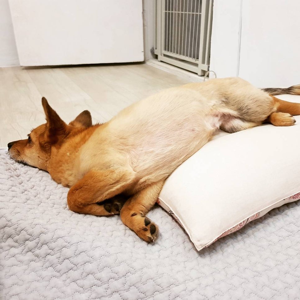 이루다컴퍼니 이미지
