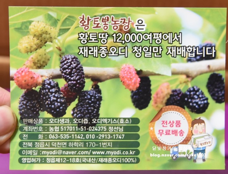 황토뽕 농장 이미지