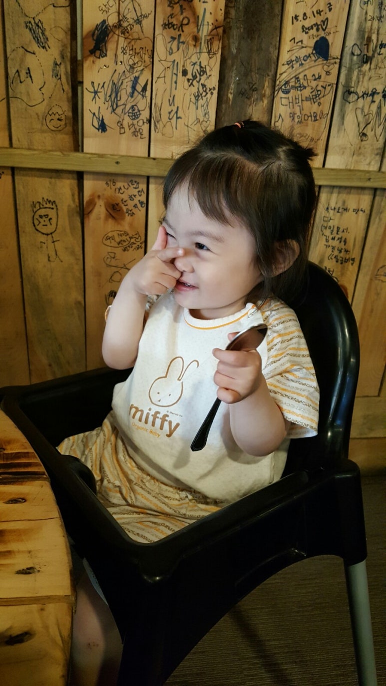 도니마니 이미지