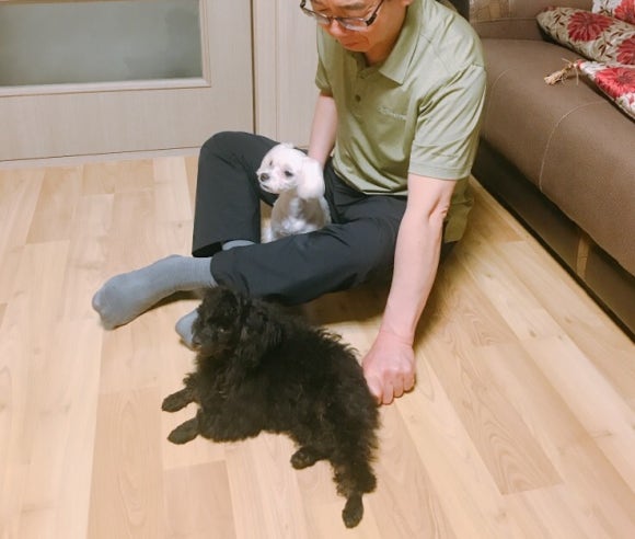 배스킨라빈스부산사직 이미지