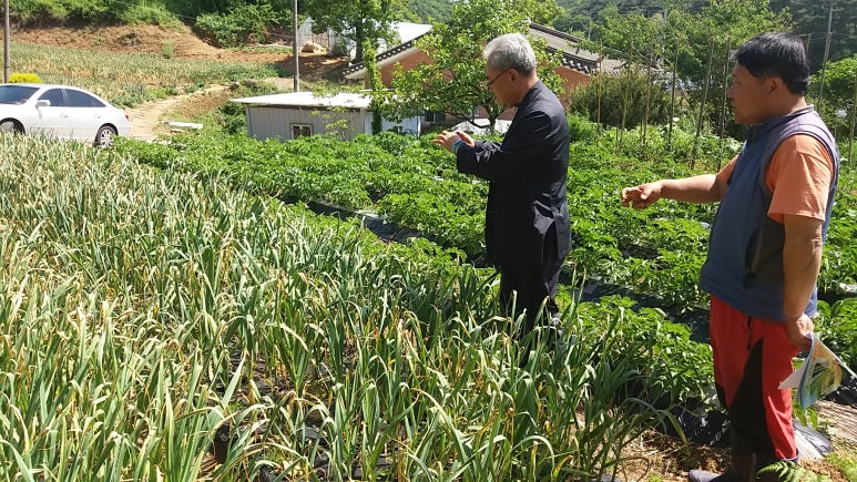 솔머랭이농장 이미지