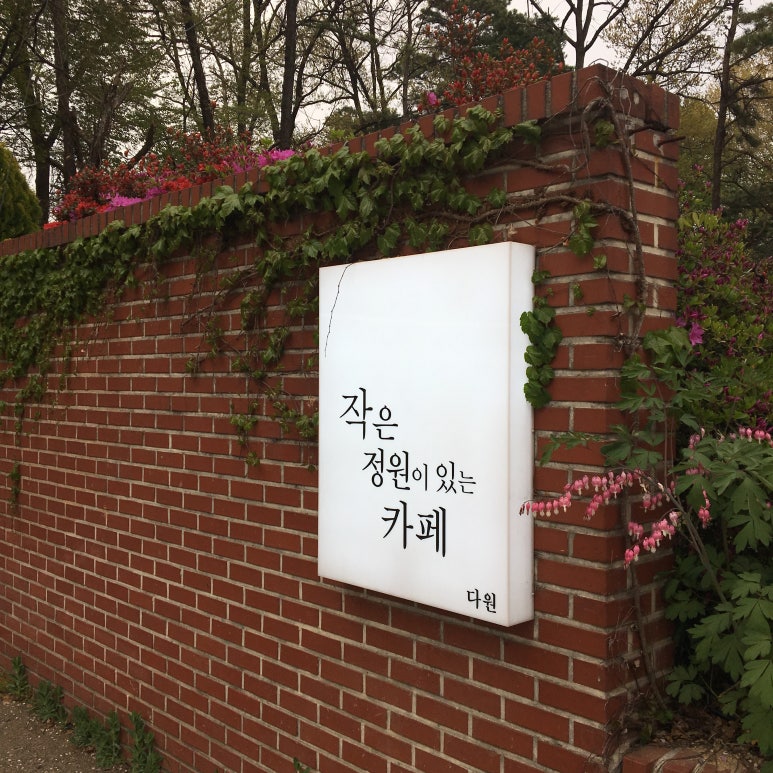카페다원 이미지