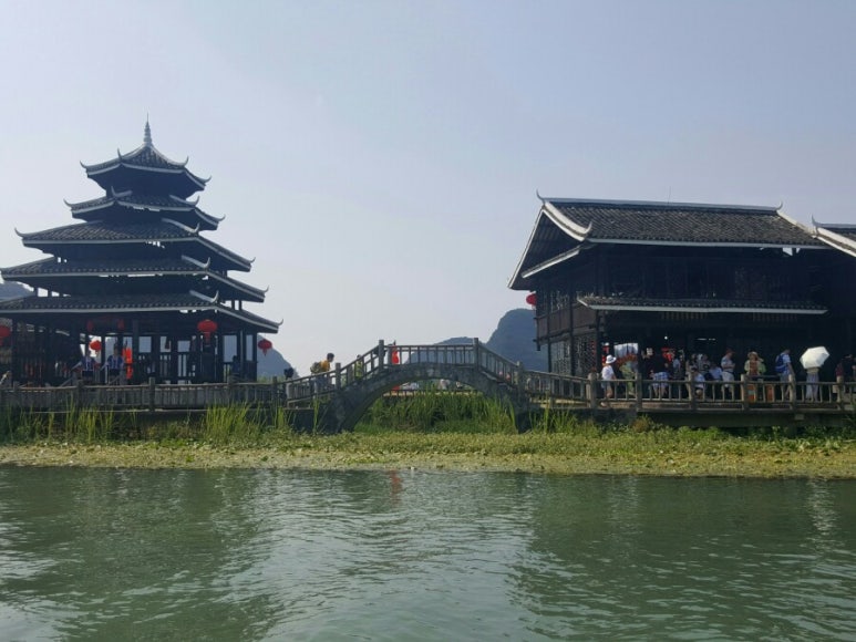 광족 이미지