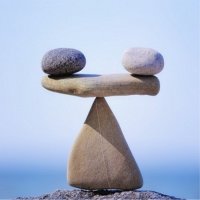 선해어 이미지