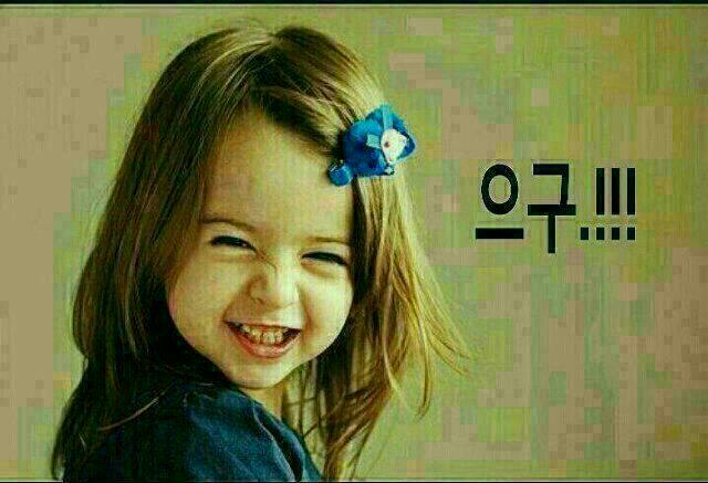 청양친환경블루베리농장 이미지