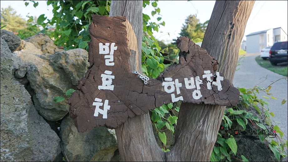 자연주의와산야초 이미지