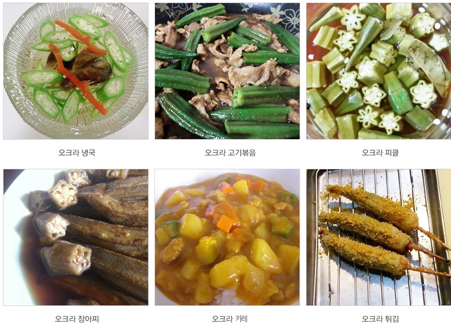아삽야콘농원 이미지
