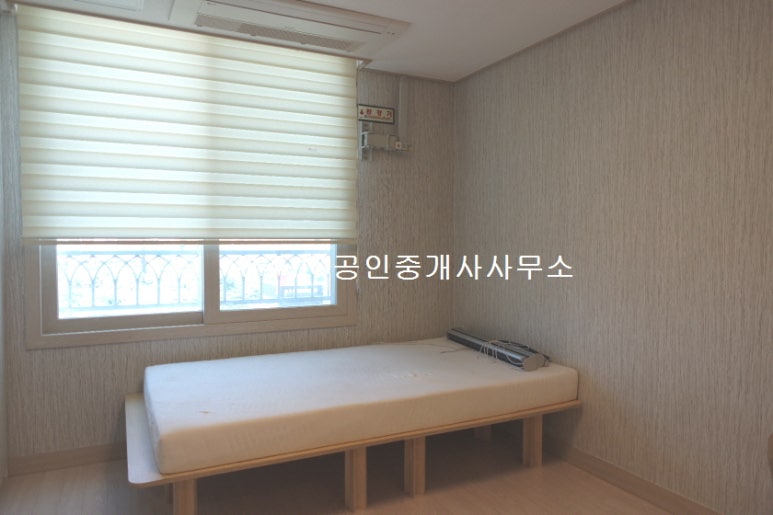 에코미르 이미지