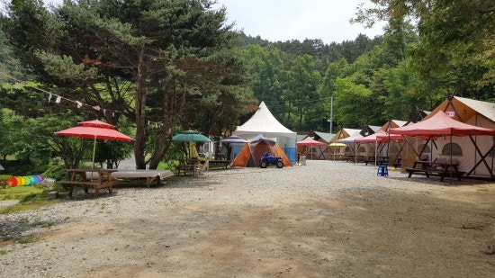 논산 탑정호 글램핑 이미지