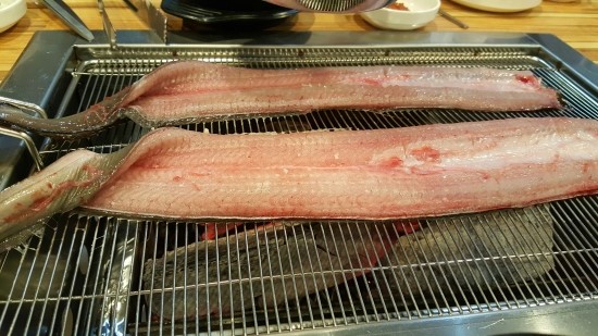 풍천백세민물장어 이미지