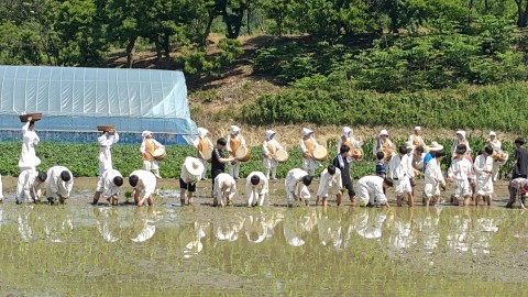 공주도령서당 이미지