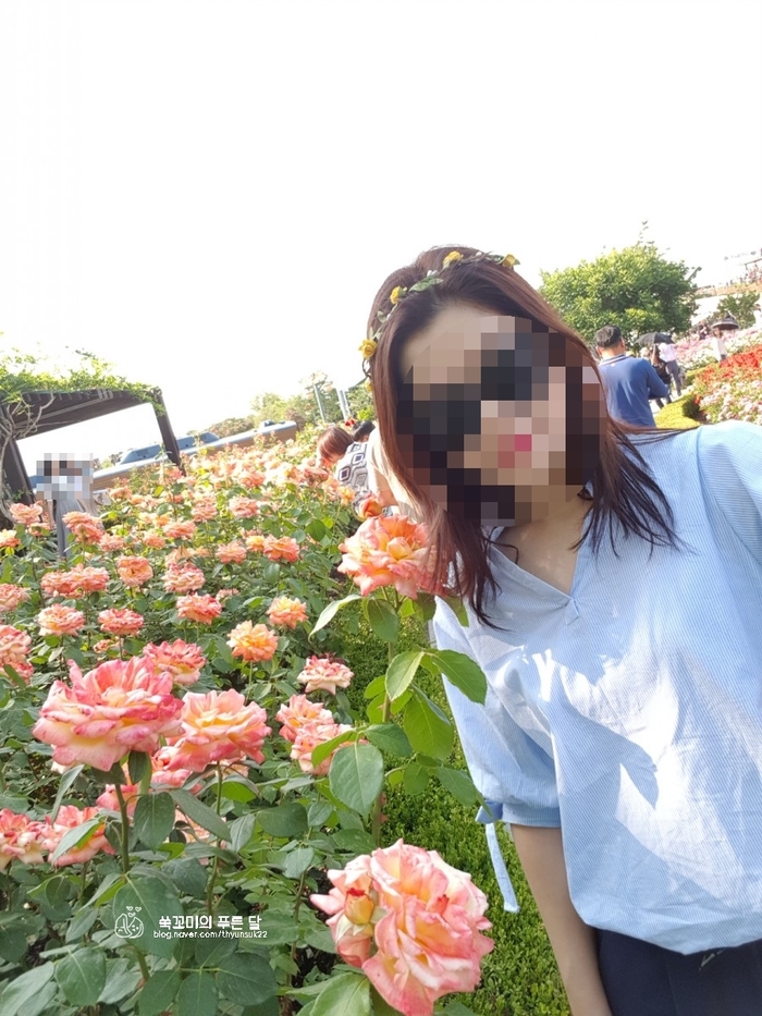 곡성상회 이미지
