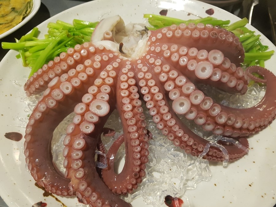 해담초장 이미지