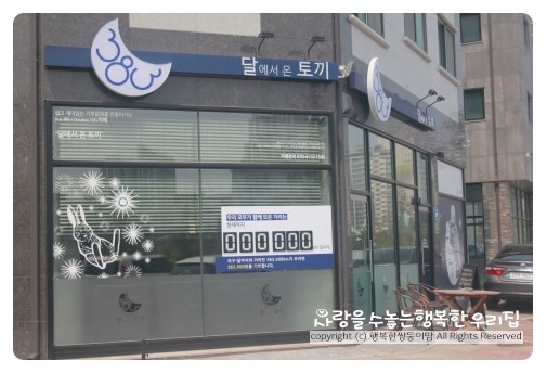 달에서온토끼 이미지
