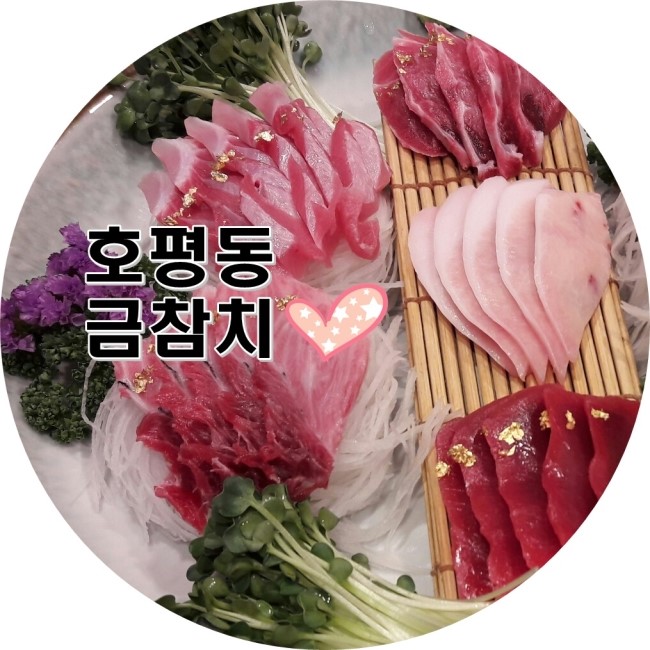 금참치 이미지