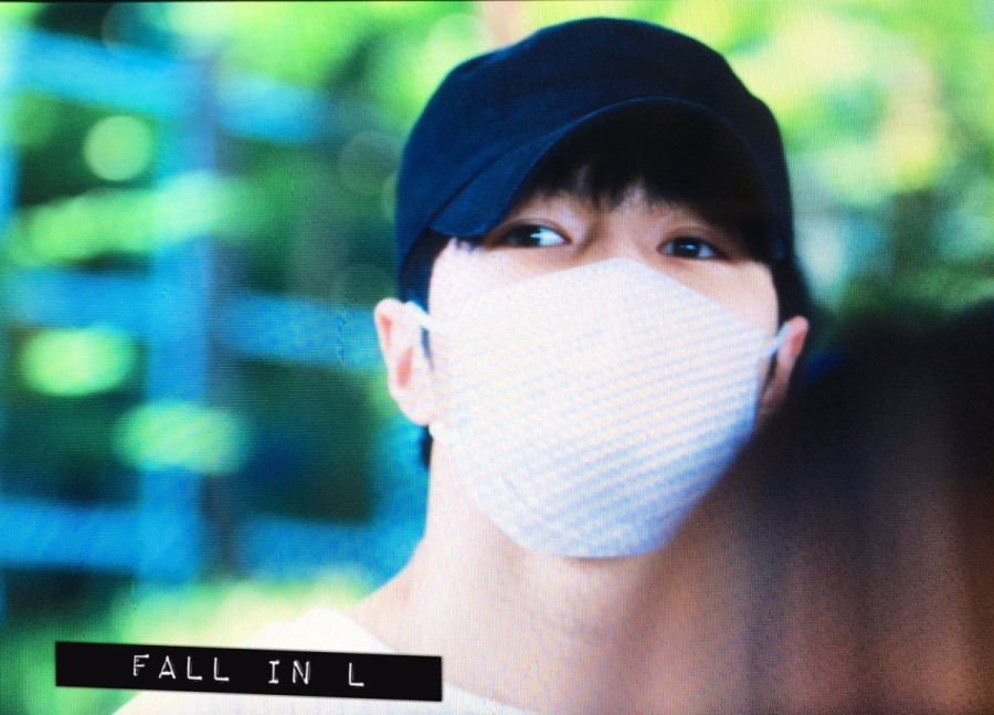 엘스타 이미지