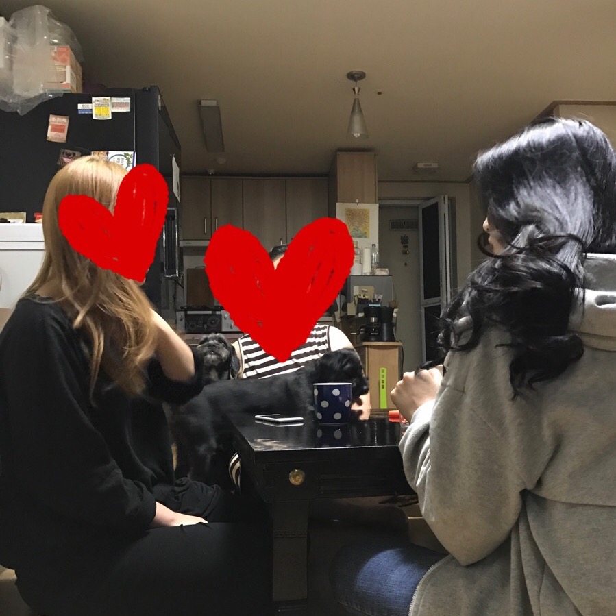 해피독반려견방문교육 이미지