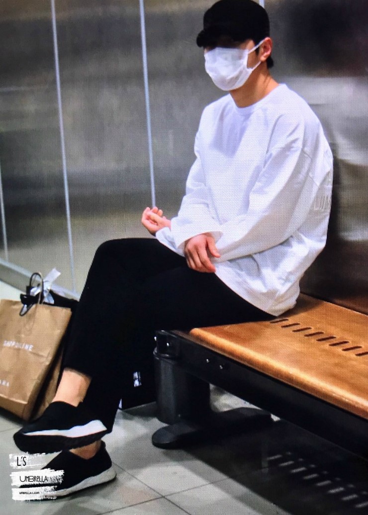 엘스타 이미지