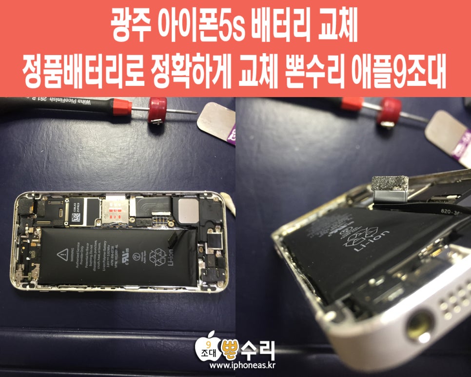 뽄수리 이미지
