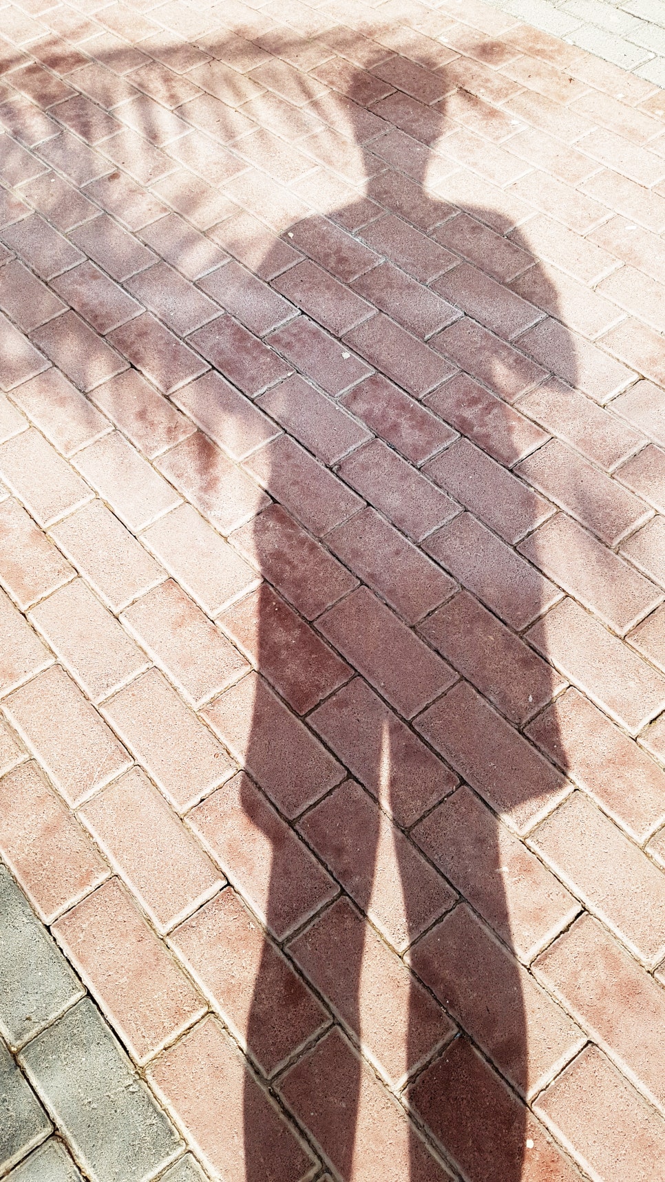 주디컨설팅 이미지