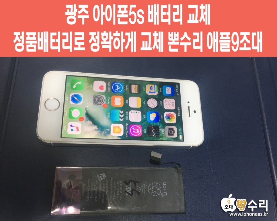 뽄수리 이미지