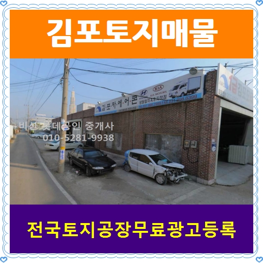 안의카센타 이미지