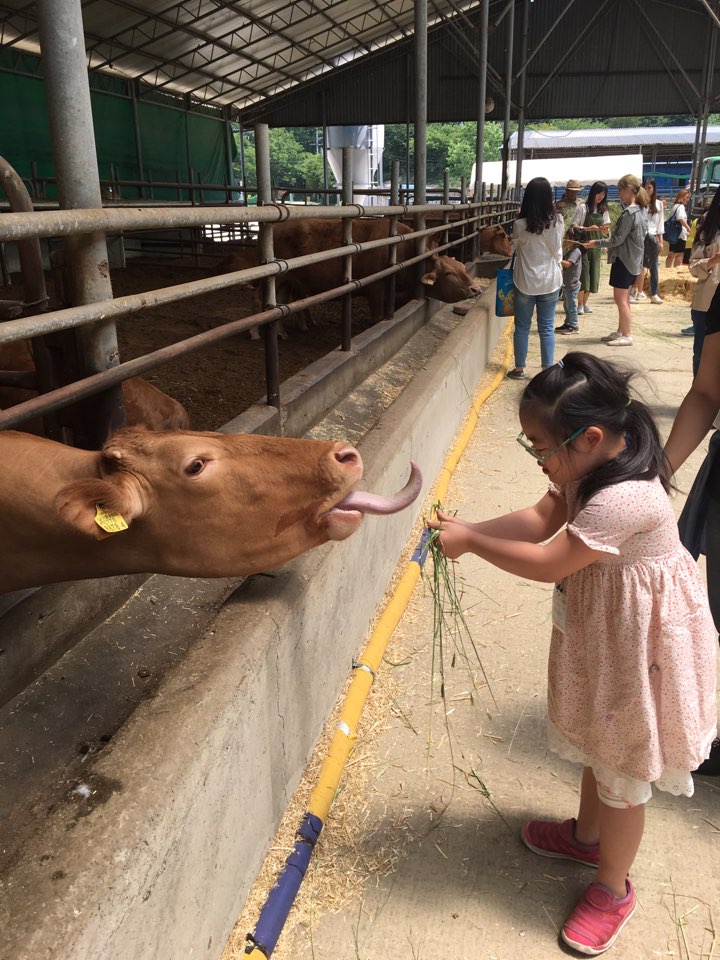 용인축산업협동조합한우랜드 이미지