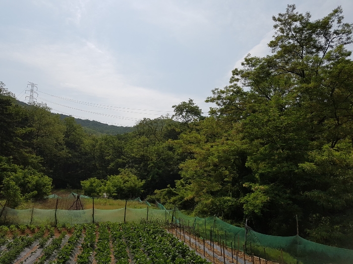 상록주유소 이미지