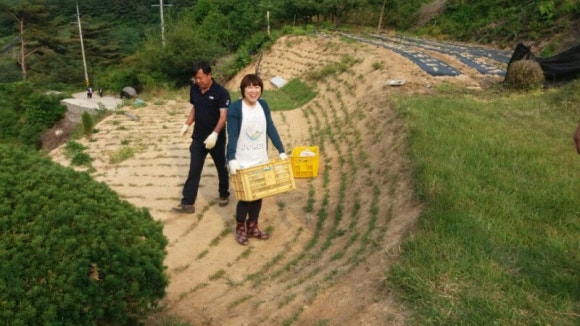 양지농원 이미지