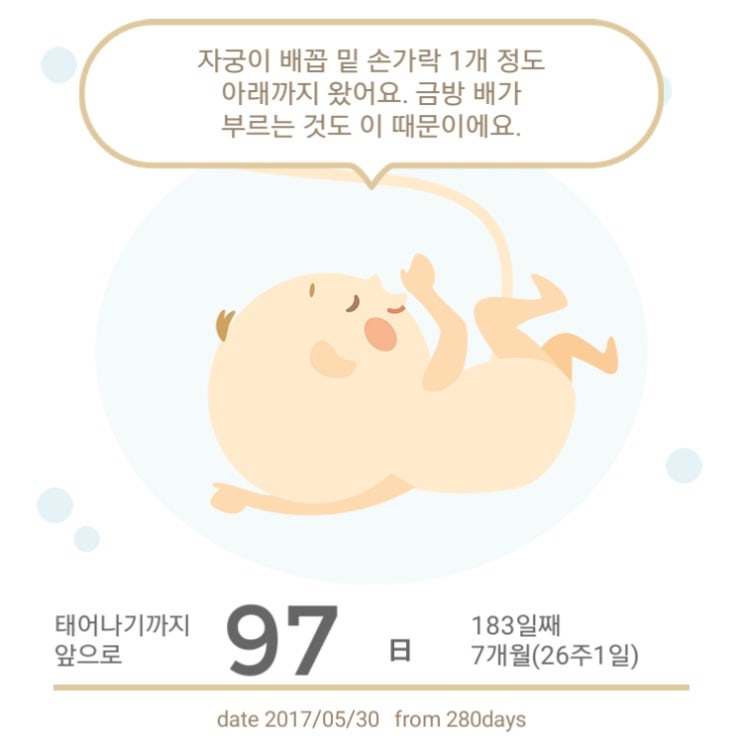 규니왕타코 이미지