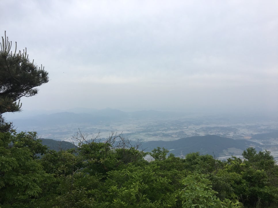고창김밥 이미지