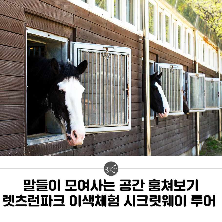아이웨이투어 이미지