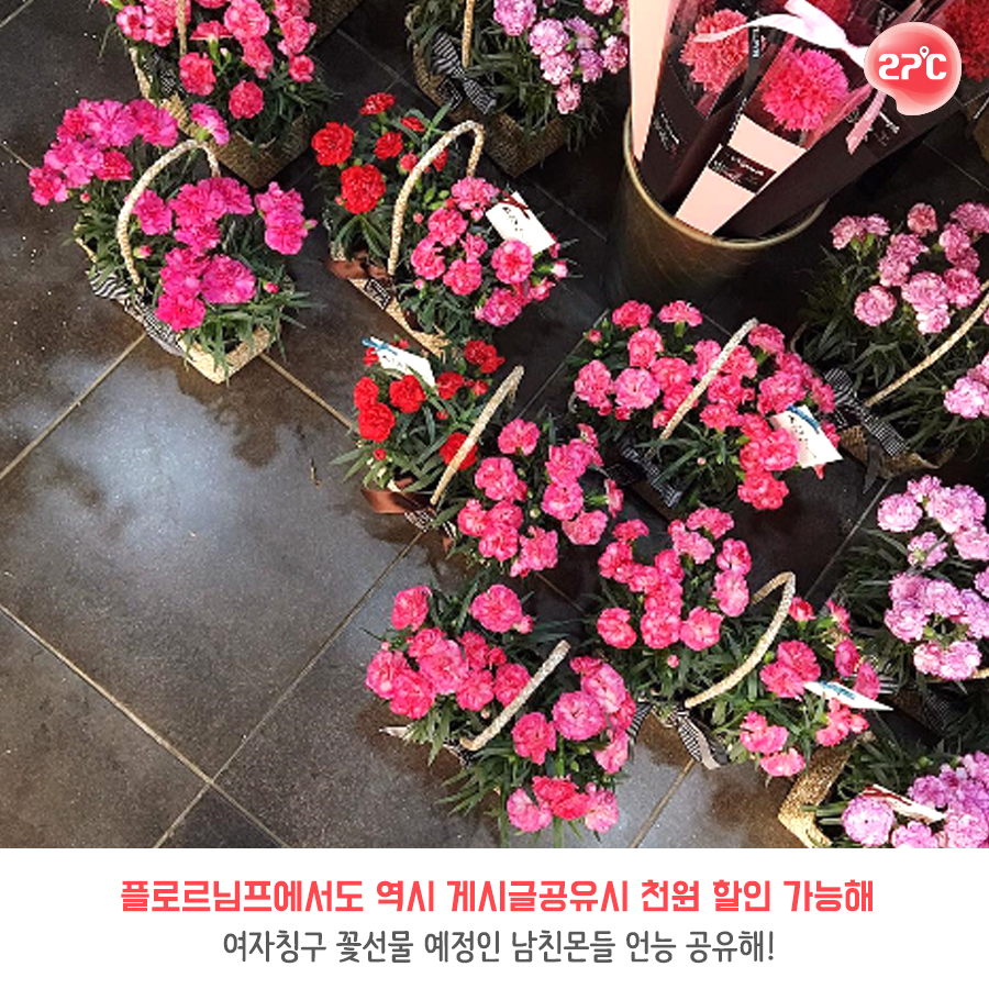 님프플라워 이미지