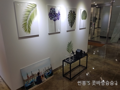 포시즌에이스투어 이미지