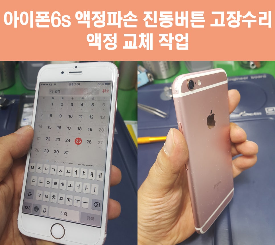 뽄수리 이미지