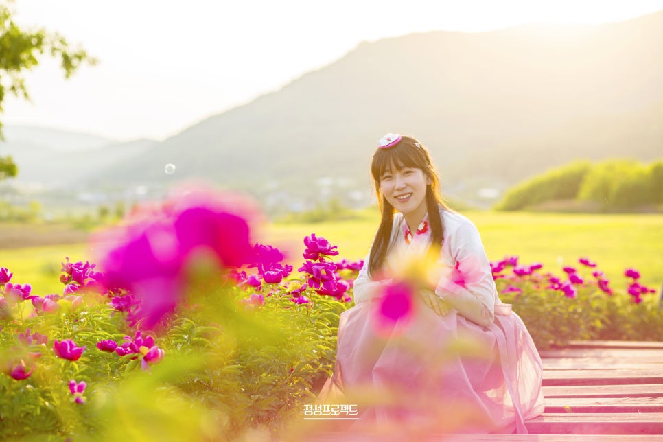 머리에 꽃달다 이미지