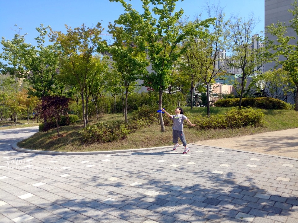 뜨레아띠 이미지