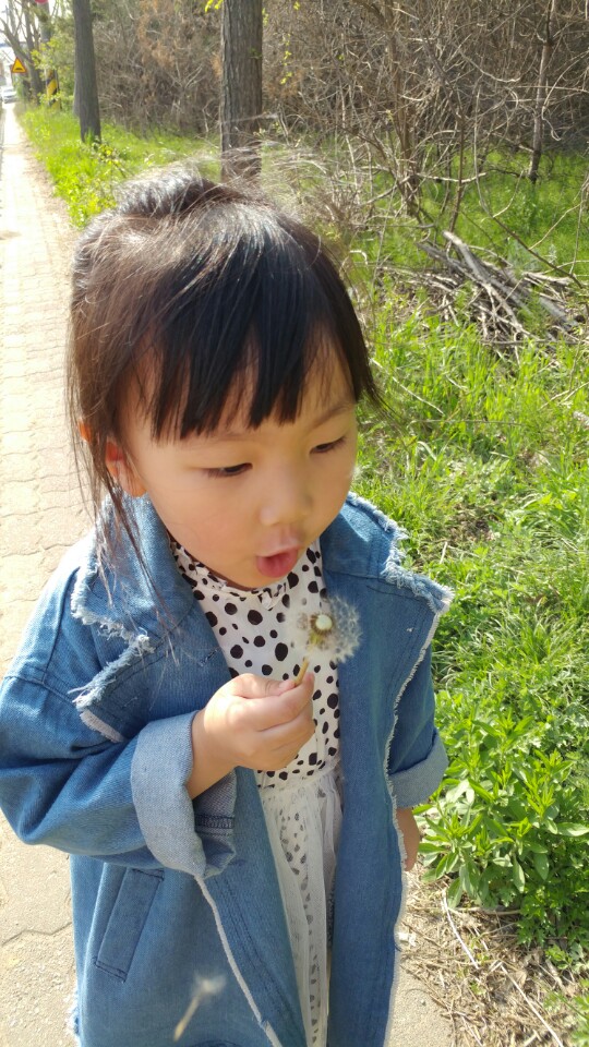 마망엘리펀트 이미지