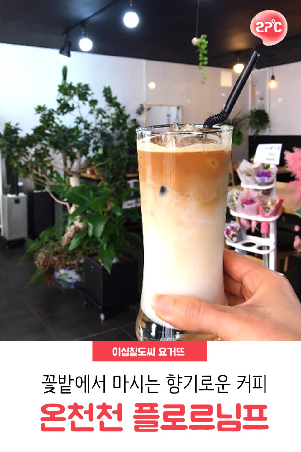 님프플라워 이미지