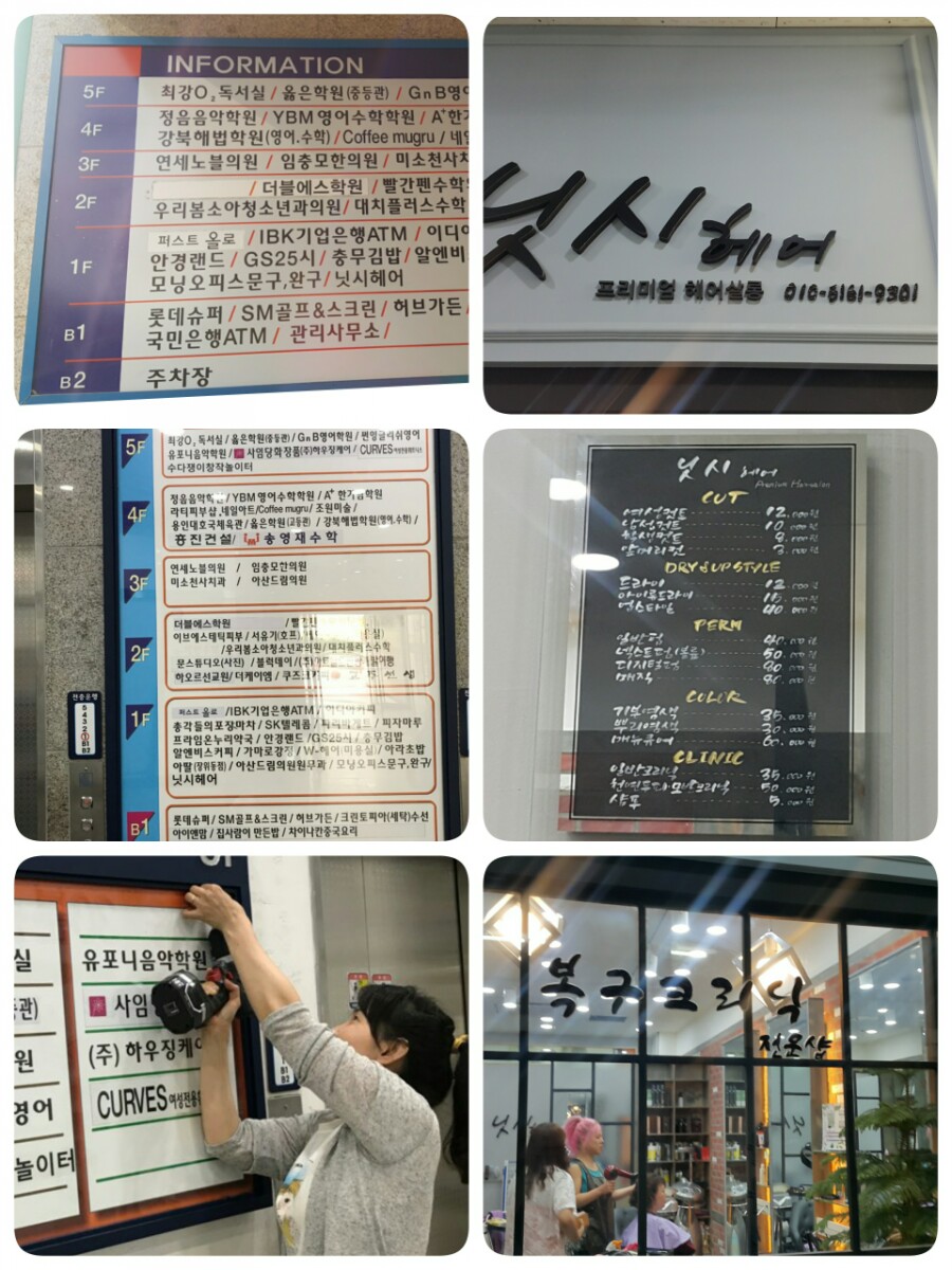 닛시헤어 이미지